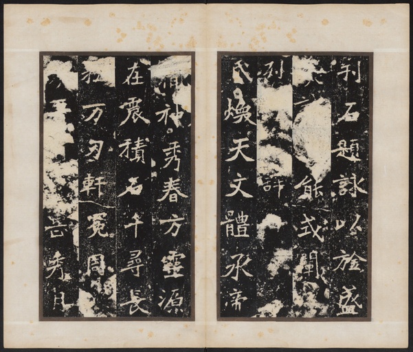 魏碑 张猛龙碑 - 清拓本 - 書法道 - 书法字帖墨迹碑帖作品高清欣赏 - 19