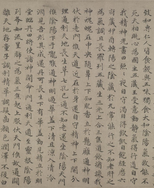 赵孟頫 临王羲之黄庭经 - 纸本墨迹 - 書法道 - 书法字帖墨迹碑帖作品高清欣赏 - 4