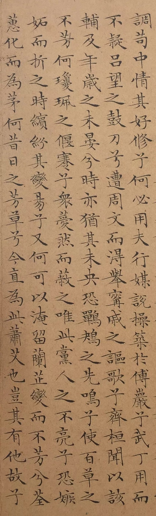 文徵明 小楷离骚经 - 纸本墨迹 - 書法道 - 书法字帖墨迹碑帖作品高清欣赏 - 14