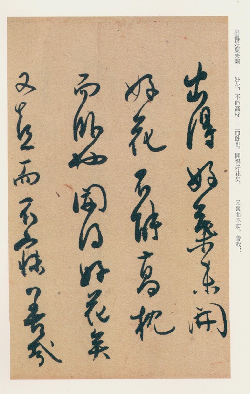 白蕉 兰题杂存 - 纸本墨迹 - 書法道 - 书法字帖墨迹碑帖作品高清欣赏 - 43