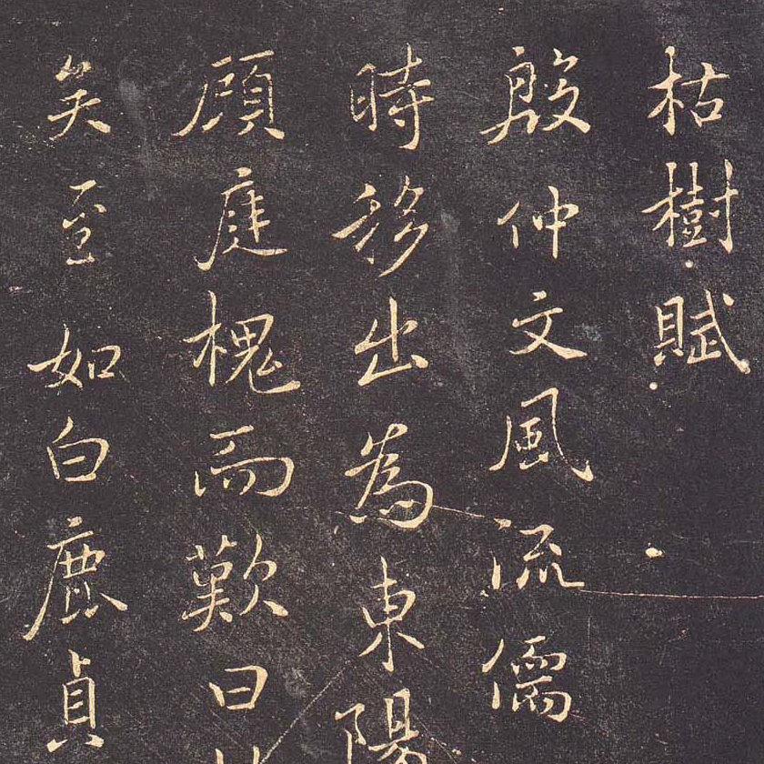 枯树赋-预览图