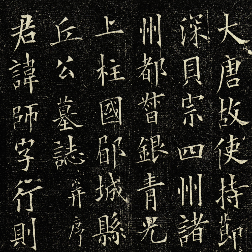 丘师墓志-预览图